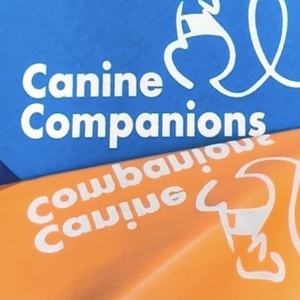 Fundraising Page: Trish Bordeaux